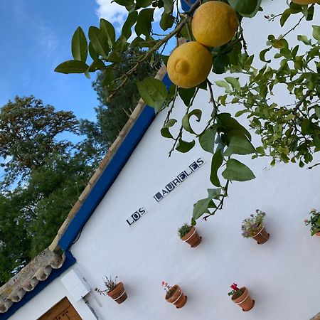 Casa Los Laureles Pilas Ngoại thất bức ảnh