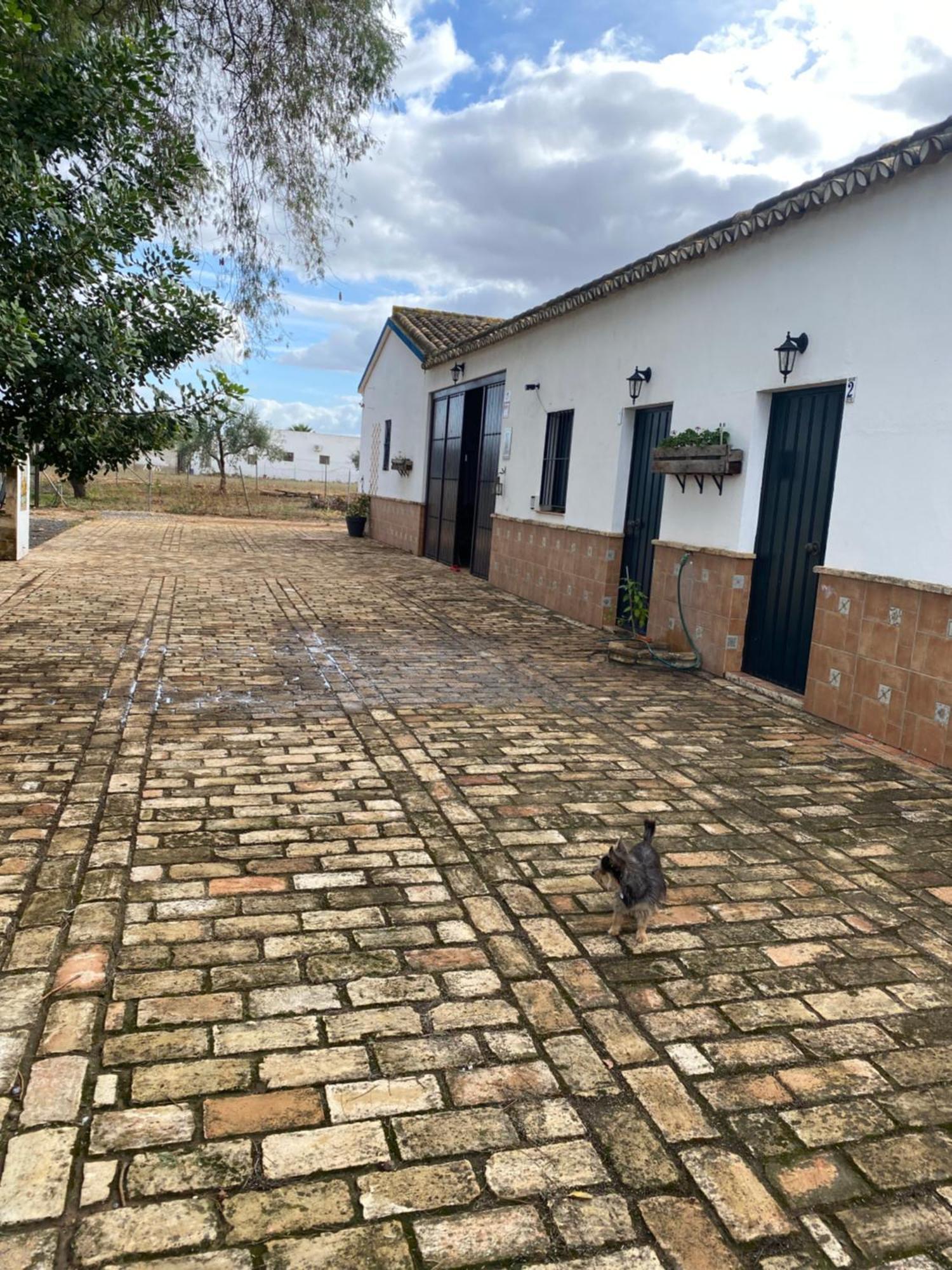 Casa Los Laureles Pilas Ngoại thất bức ảnh