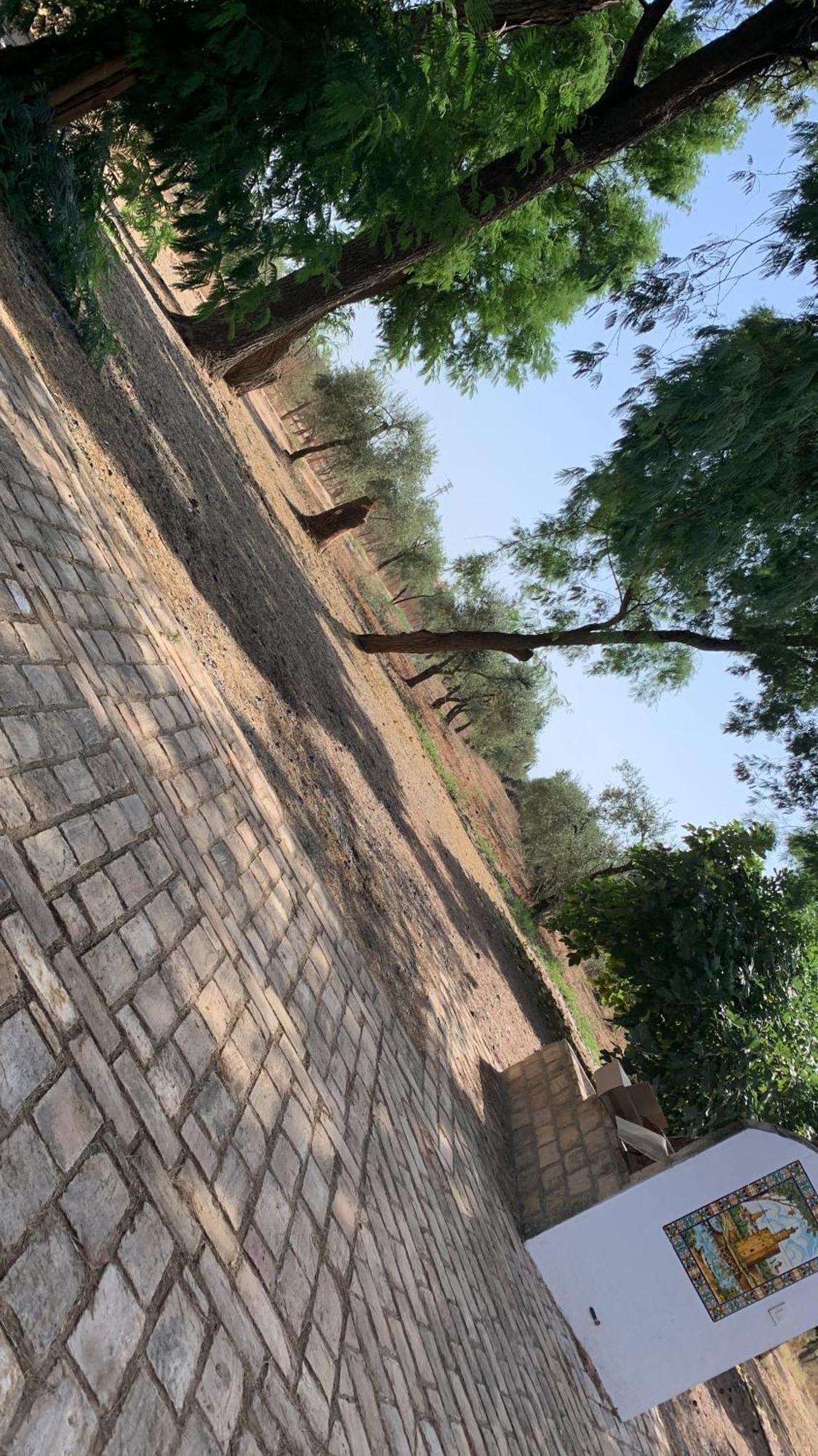 Casa Los Laureles Pilas Ngoại thất bức ảnh