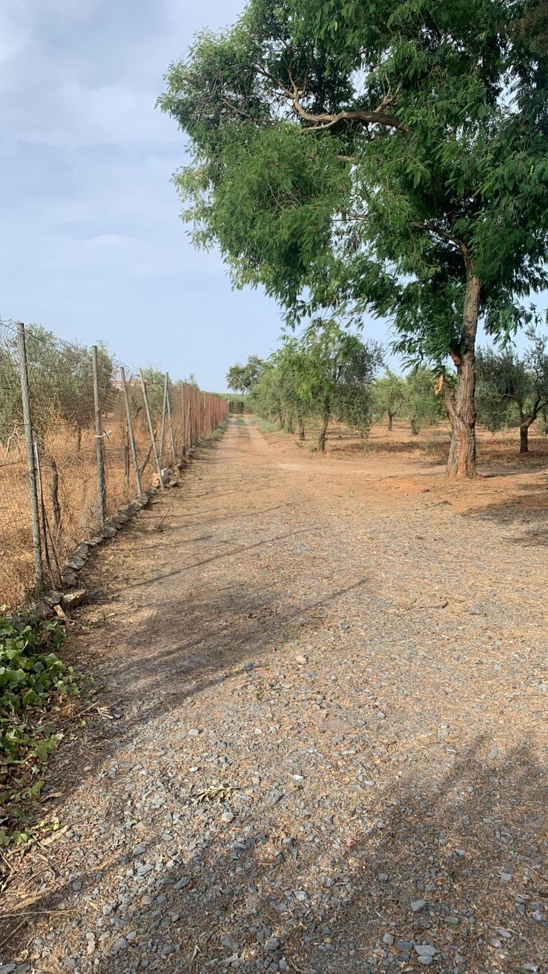 Casa Los Laureles Pilas Ngoại thất bức ảnh